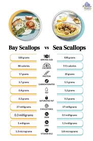 The Tiny vs. the Titanic: Unveiling the Delicious Differences Between Bay and Sea Scallops