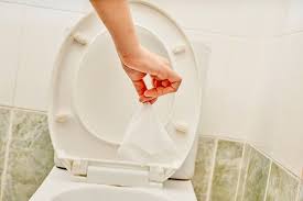 The Great Flush-Off: Are “Flushable” Wipes Really Safe for Your Plumbing?